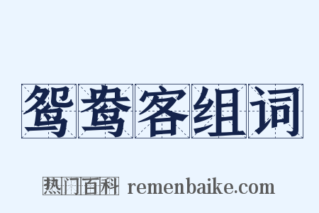鸳鸯客组词是什么意思的图片